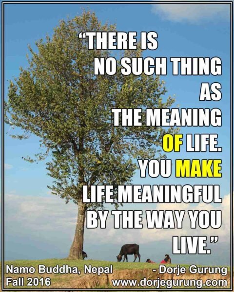 meaning of life